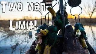 Two Man Limit Of Mallards! | Public Land Kansas Duck Hunt 2016