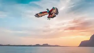 Neewa Veil - Garuda mendunia | Music Visualization
