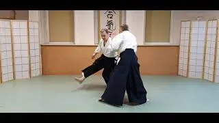 KOTE GAESHI, ushiro ryokata dori