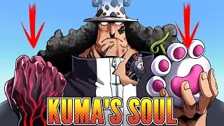 Kuma is Still Alive: One Piece Theory
