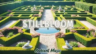 Stillbloom | 1 Hour Ambient Music for Sleep, Study & Peaceful Focus