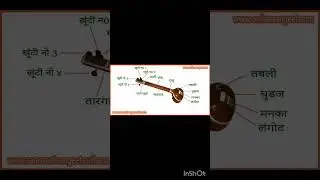 70/70 in MUSIC PRACTICAL ||CBSE BOARDS 2026 || Tips and Tricks ||class 12th boards ||#study #