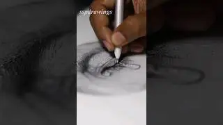 10 hours of stippling in 20 sec #art #stippling #pointilism #dotdrawing
