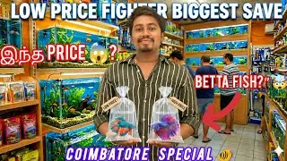 😱🐟 Is Betta Fish available at this price? 🤯 | Coimbatore New Fighter Fish Market🔥#BettaFish#Fight...