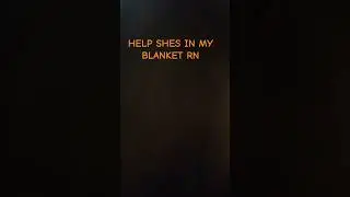 HELP- #ferret #fluffynoodles