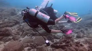 Grov&eacute; Family SCUBA Diving in Maui, August 2019