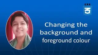 CSS: How to change background and text colour