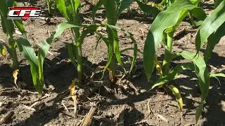Nitrogen Crisis Coming?