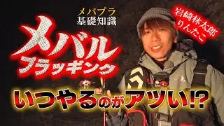 メバルプラッギングいつやるのがアツい？【りんたこ岩崎林太郎のメバリング基礎講座】