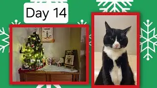 Littleworkroomcrafts vlogmass 2025 Day 14. A crafty day and I'm planning a new cast on 