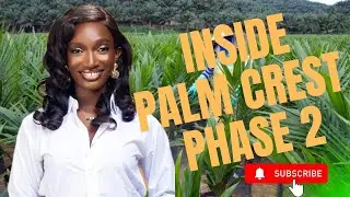 A Drive Through Palm Crest Phase 2 | Turning Farmland into Passive Income 🌴💼