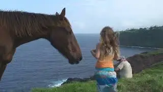 Pasture4rent HD