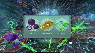 InCell VR