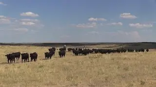 Montana Ag Network: Trade with Mexico important for U.S. agriculture