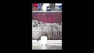 100 Years old Oriental rug cleaning