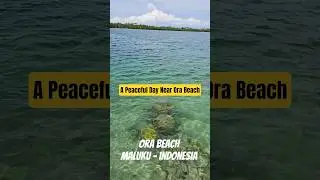 A Peaceful Day Near Ora Beach |  Ocean Calm #lake #beach #fishing #relax #travel