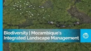 Biodiversity: Stories from the Mozambique&rsquo;s Integrated Landscape Management Portfolio