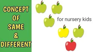 learn concept of same and different l same and different lesson