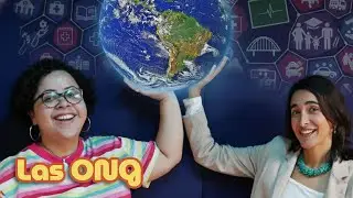 ¿Qué son las ONGs?