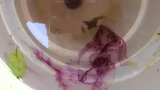 Pool Leak testing of skimmer