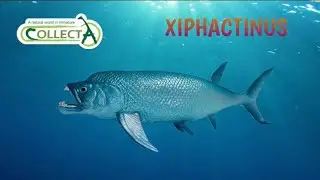 Обзор CollectA 2021 Deluxe Xiphactinus