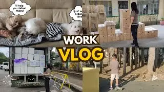 Work vlog in the province✨| Realistic work life as AO II, life with fur babies - M.Cris Diaries
