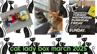 CatLadyBox | March 2025 | Unboxing With Val