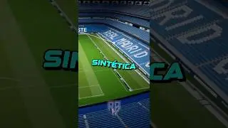 Por que ODEIAM o GRAMADO SINT&Eacute;TICO?