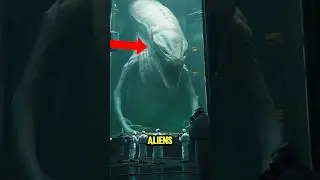 TOP 5 STRANGE LOOKING ANIMALS THAT LITERALLY LOOK LIKE ALIENS! 😱😨