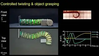 Stretchable origami robotic arm with omnidirectional bending and twisting