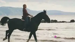 Can Horses Swim  A Deep Dive into Equine