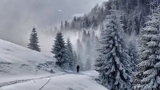 Iarna în cel mai frumos loc din Apuseni | Padiş - Munţii Bihorului