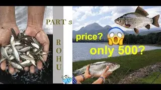 PART 3 |Padutha kulam price details and making video  #paduthakulamcost #tarpaulinpondmaking