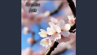 The golden fields