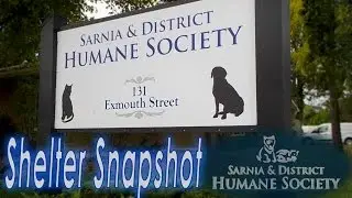 Sarnia SPCA Shelter Video