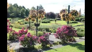 07 9. august 2017 Dunfermline - Pittencrieff Park, Laird&acute;s Garden & Glasshouse