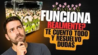 🌷 La L&aacute;mpara de Tulipanes que todos compran&hellip; &iquest;VALE la pena o es puro humo?