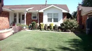 LAWN BEAUTIFICATION