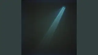 The last attempt