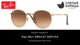 Солнцезащитные очки Ray-Ban RB3447 9001/A5 в интернет магазине Слепая курица.