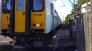 317 trains