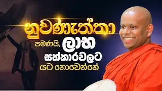 නුවණැත්තා පමණයි, ලාභ සත්කාරවලට යට නොවෙන්නේ | නුවණැත්තාගේ ගතිසොභා | Ven. Welimada Saddaseela Thero