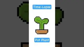 Time-lapse making a pot plant 🪴