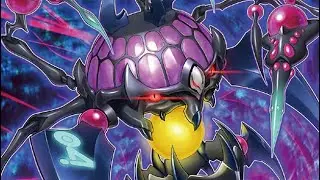 Updated Shark Deck Profile + Combo Tutorial December 2021