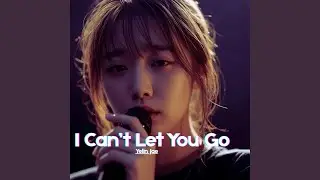 I Can&rsquo;t Let You Go