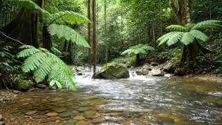 Relaxing River Flow Sounds 🌊 | Natural Water Ambience for Deep Sleep & Meditation