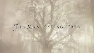The man-eating tree - Instead of sand and stone (Lyrics/Subtitulos en espa&ntilde;ol)