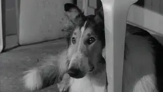 Lassie's gift of love (part 2, 1963) full episode