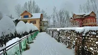 Jalandhar to Srinagar | Kashmir | Road Trip | Travel Vlog