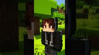 Les diff&eacute;rents types de serveur sur Minecraft !